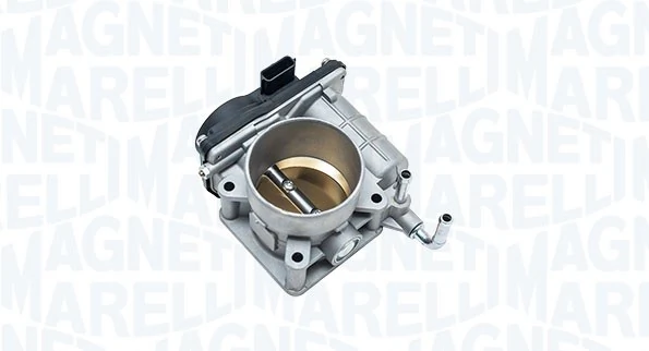 Throttle Body 802000000140