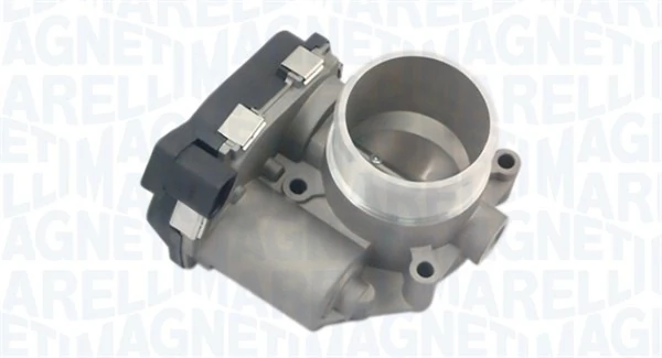 Throttle Body 802000000043