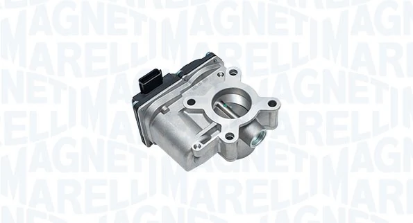 Throttle Body 802000000170