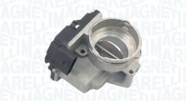 Throttle Body 802000000026