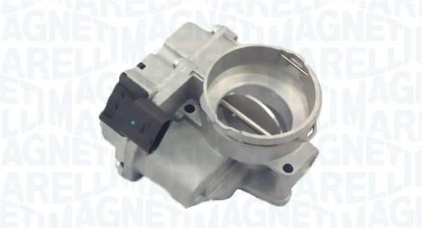 Throttle Body 802000000029