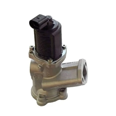 EGR Valve 571822112002