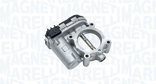 Throttle Body 802000000122