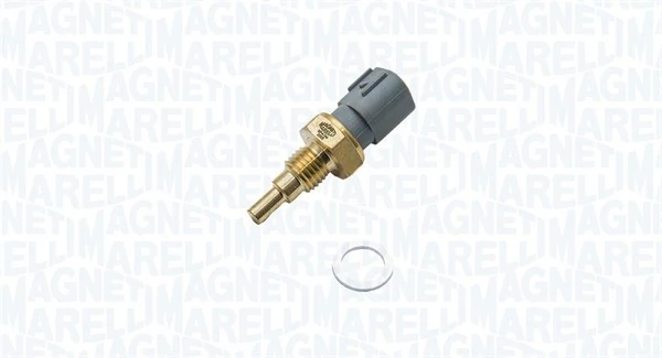 Sensor, coolant temperature 171916011880