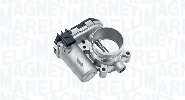 Throttle Body 802000000117