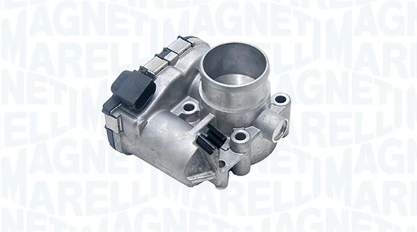 Throttle Body 802100000013