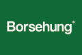 Borsehung B17914